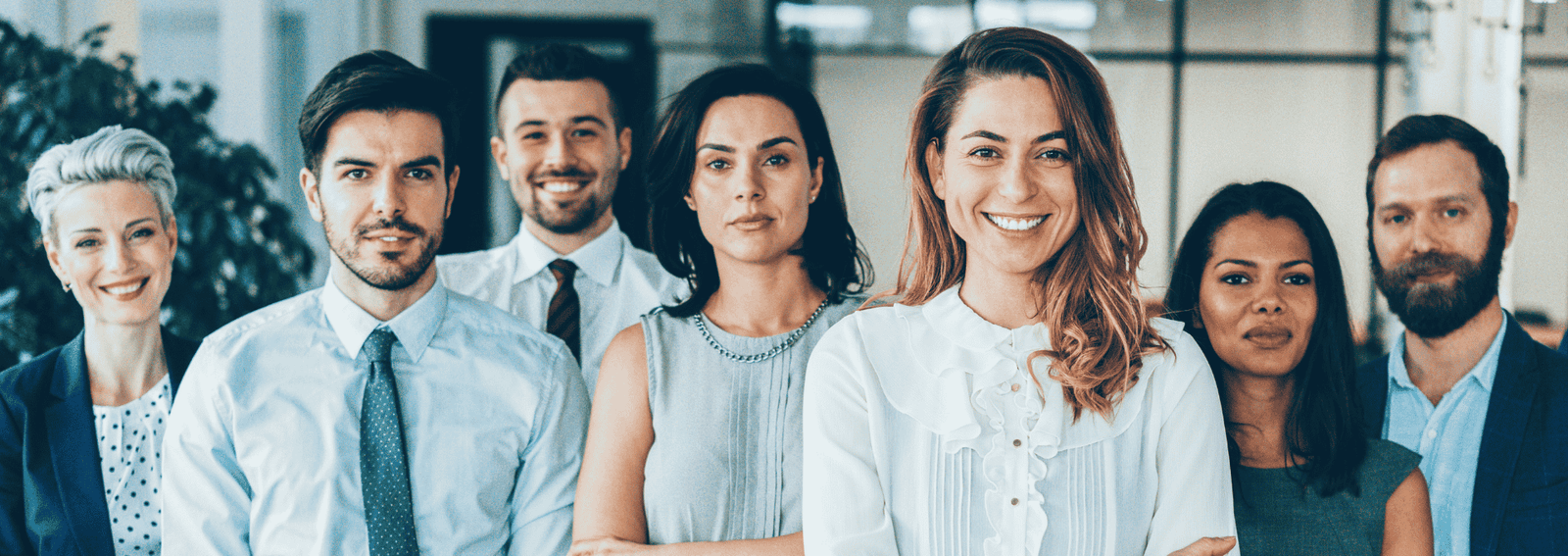 Minty Plumbing and Heating company banner showing plumbing services
